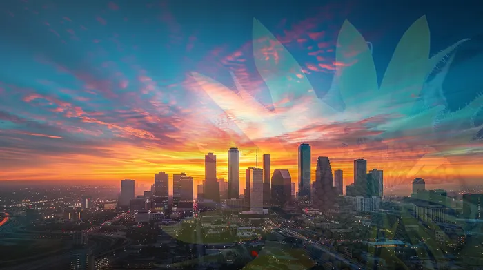 개인회생법률사무소